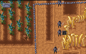 AD&D Dark Sun Online: Crimson Sands Gameplay (Windows)