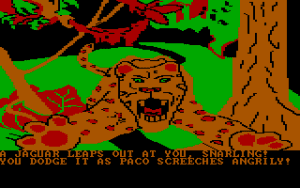 Amazon Gameplay (DOS)