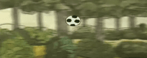 Animal Football Gameplay (PlayStation 2)