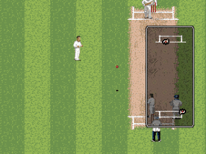 Brian Lara Cricket '96 Gameplay (Genesis)