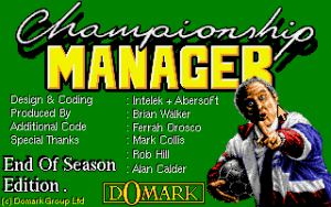 Championship Manager: End of 1994 Season Data Up-date Disk Gameplay (DOS)