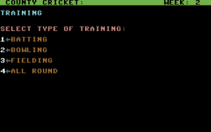 County Cricket Gameplay (Commodore 64)