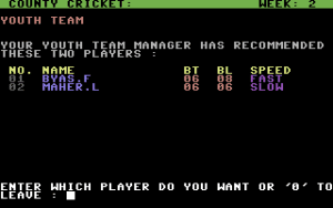 County Cricket Gameplay (Commodore 64)