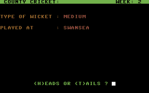 County Cricket Gameplay (Commodore 64)