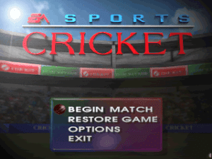 Cricket 96 Gameplay (DOS)