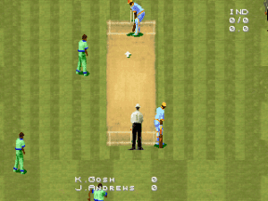 Cricket 96 Gameplay (DOS)