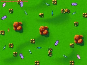 Disney's The Lion King II: Simba's Pride Gameplay (Windows)
