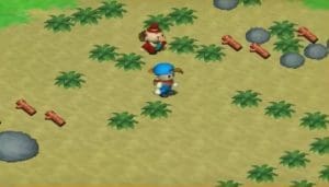 Harvest Moon: Back to Nature Gameplay (PSP)