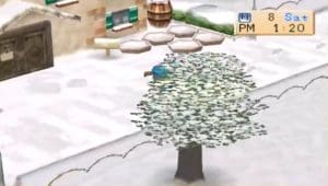 Harvest Moon: Back to Nature Gameplay (PSP)