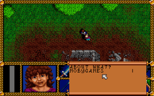 J.R.R. Tolkien's The Lord of the Rings, Vol. I Gameplay (DOS)