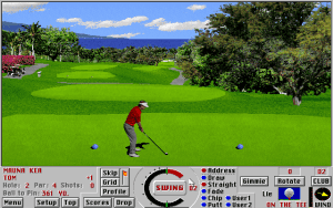 Links Championship Course - Mauna Kea Gameplay (DOS)
