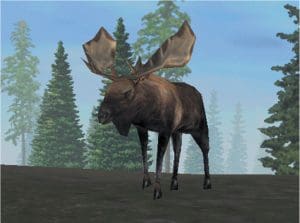 Rocky Mountain Trophy Hunter 3: Trophies of the West Gameplay (Windows)