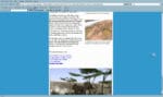 Safari Photo Africa: Wild Earth Gameplay (Windows)