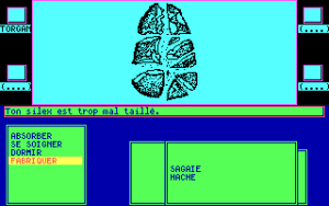 Sapiens Gameplay (DOS)