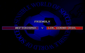 Sensible World of Soccer Gameplay (DOS)