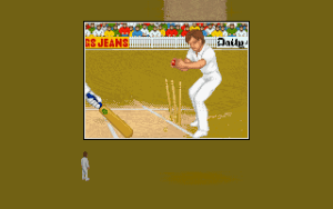 Shane Warne Cricket Gameplay (DOS)