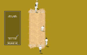 Shane Warne Cricket Gameplay (DOS)