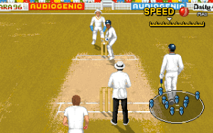 Shane Warne Cricket Gameplay (DOS)