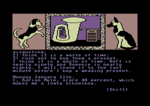 The Growing Pains of Adrian Mole Gameplay (Commodore 64)