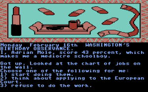 The Secret Diary of Adrian Mole Aged 13¾ Gameplay (Commodore 64)