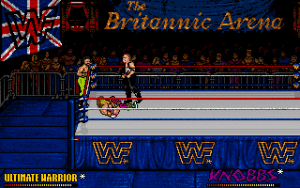 WWF European Rampage Gameplay (DOS)
