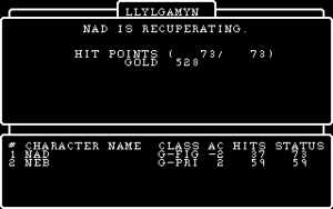 Wizardry II: The Knight of Diamonds Gameplay (DOS)