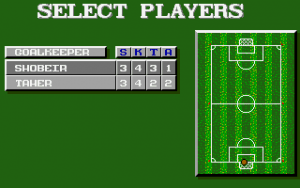 World Championship Soccer Gameplay (DOS)
