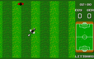 World Championship Soccer Gameplay (DOS)