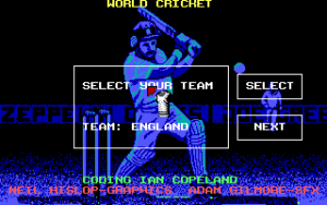 World Cricket Gameplay (DOS)