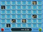 Zoo Vet Gameplay (Windows)
